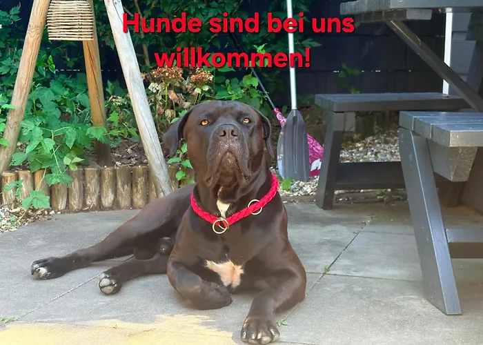 Heimathafen